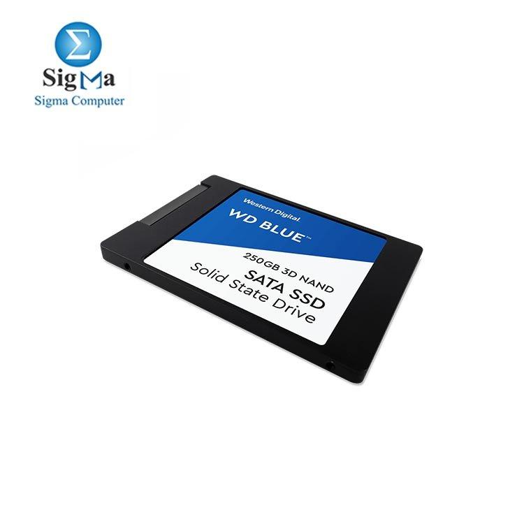 WD Blue 250GB 3D NAND SATA III 6Gb-s 2.5 Inch Inch 7mm Internal