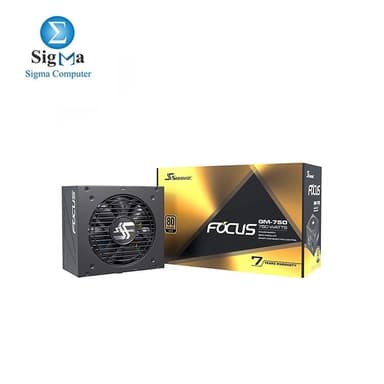 Seasonic FOCUS GM-750, 750W 80+ Gold, Semi-Modular - View 1