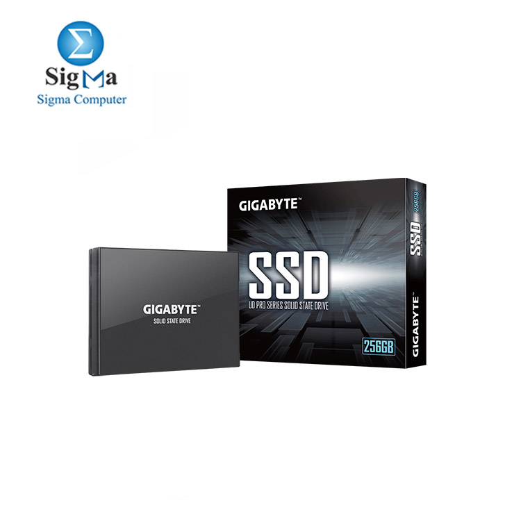 Gigabyte UD PRO 256GB SSD SATA 6.0Gb s