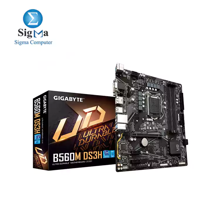 GIGABYTE B560M DS3H  rev. 1.0  