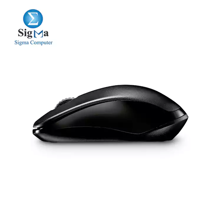 RAPOO 1620 Wireless Optical Mouse