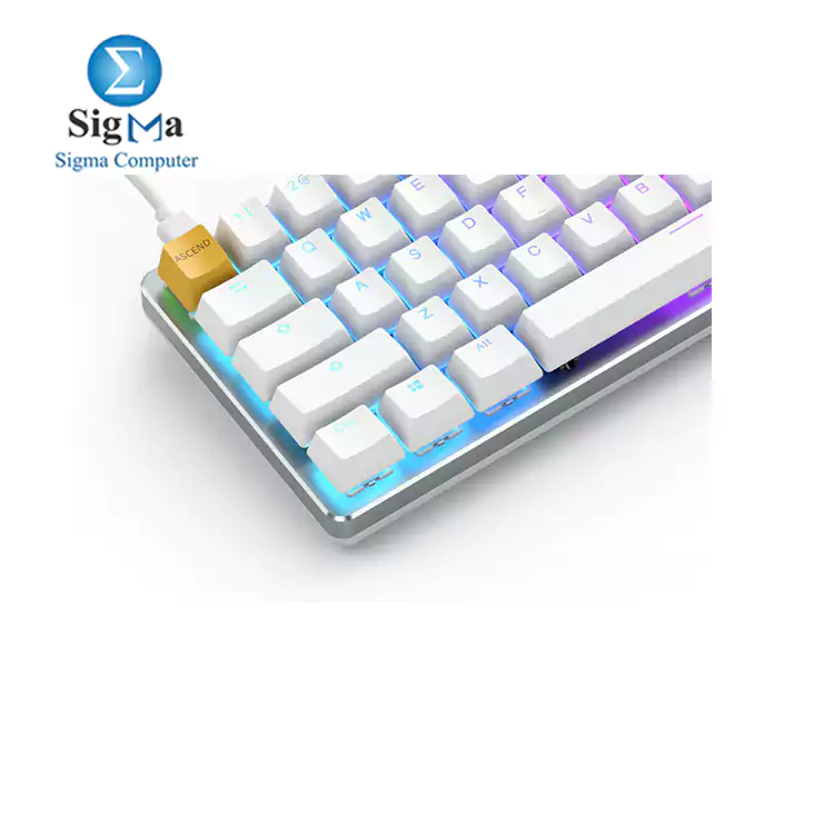 Glorious Keyboard GMMK Compact Mechanical Gaming Brown Switch RGB White Ice  GLO-GMMK-COM-BRM 