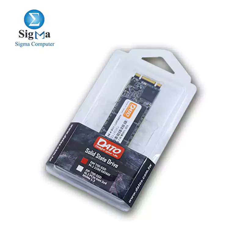 DATO 256G SSD DM700 M.2 SATAIII M.2