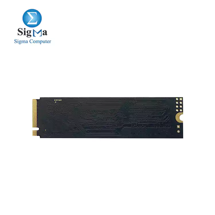 Patriot P300 M.2 2280 1TB PCIe Gen3 x4  NVMe 1.3 Internal Solid State Drive