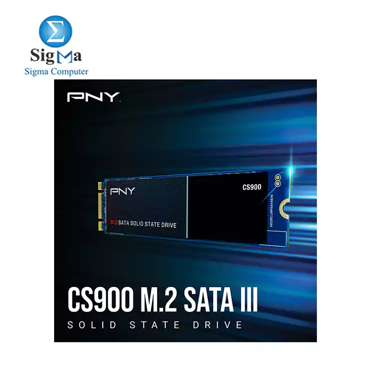 PNY CS900 1TB M.2 SATA III Internal Solid State Drive  SSD  -  M280CS900-1TB-RB    