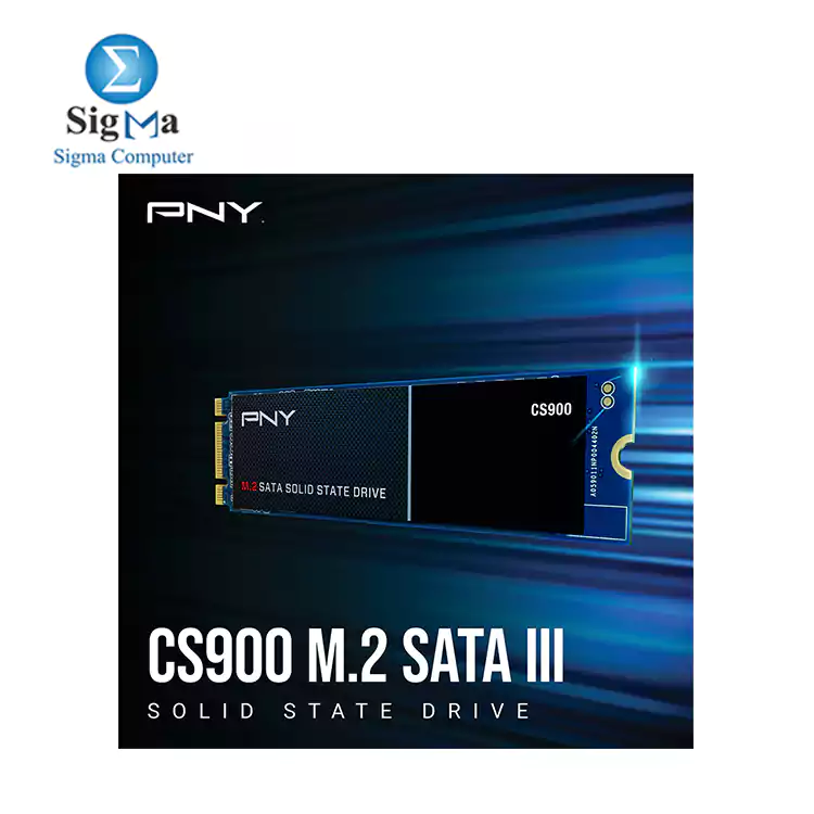 PNY CS900 500GB M.2 SATA III Internal Solid State Drive (SSD) - (M280CS900-500-RB)​