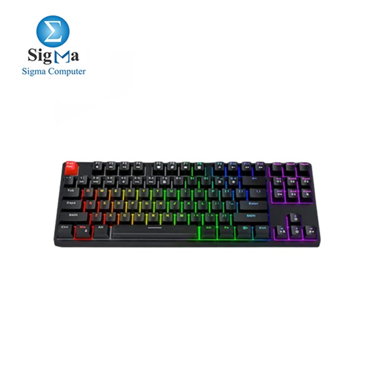 HAVIT KB489L TKL Mechanical Keyboard With 87 Keys Led Rainbow Backlit Black Red Switch