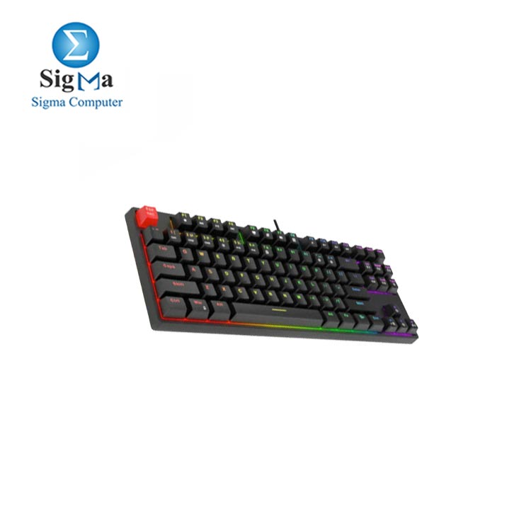 HAVIT KB489L TKL Mechanical Keyboard With 87 Keys Led Rainbow Backlit Black Red Switch