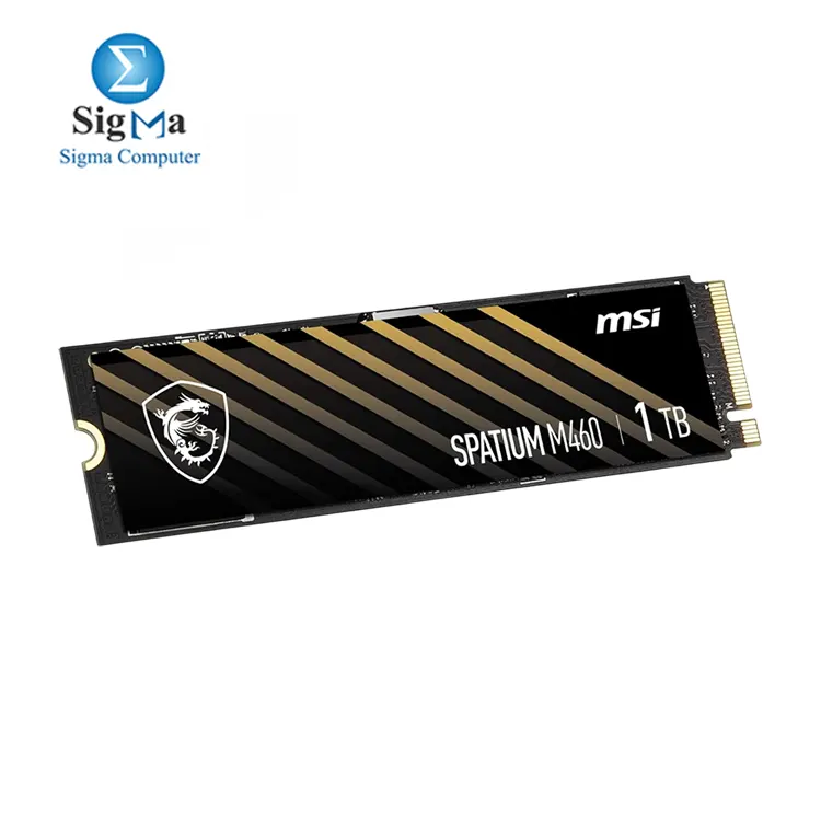 MSI SPATIUM M460 1TB PCIe 4.0 NVMe M.2 SSD     Up to 5000MB s read  4500MB s write  600TBW endurance  PCIe Gen4x4
